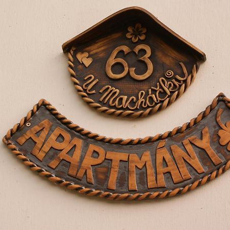 Appartement U Machacku - Lipno à Lipno nad Vltavou Extérieur photo
