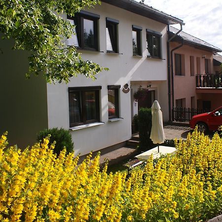 Appartement U Machacku - Lipno à Lipno nad Vltavou Extérieur photo