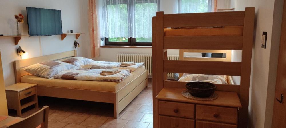 Appartement U Machacku - Lipno à Lipno nad Vltavou Extérieur photo
