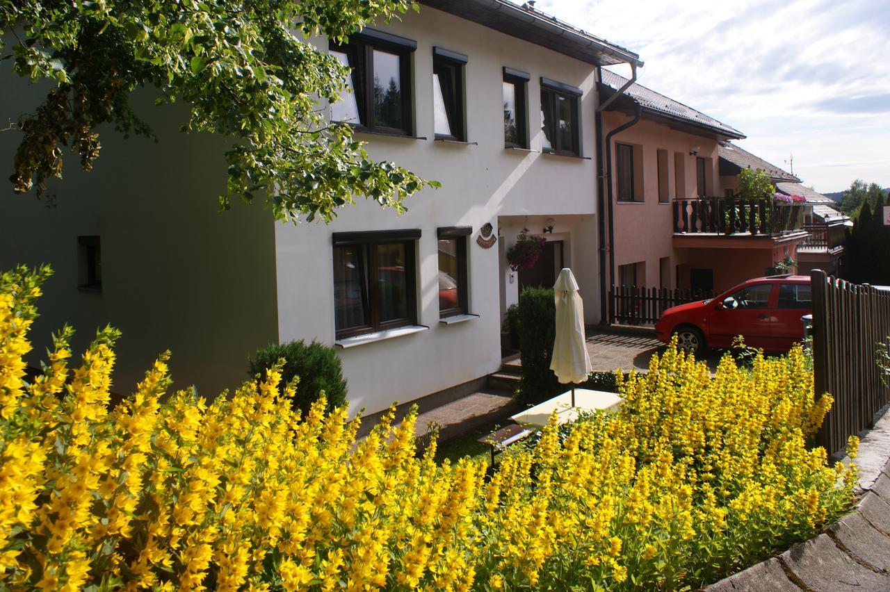 Appartement U Machacku - Lipno à Lipno nad Vltavou Extérieur photo